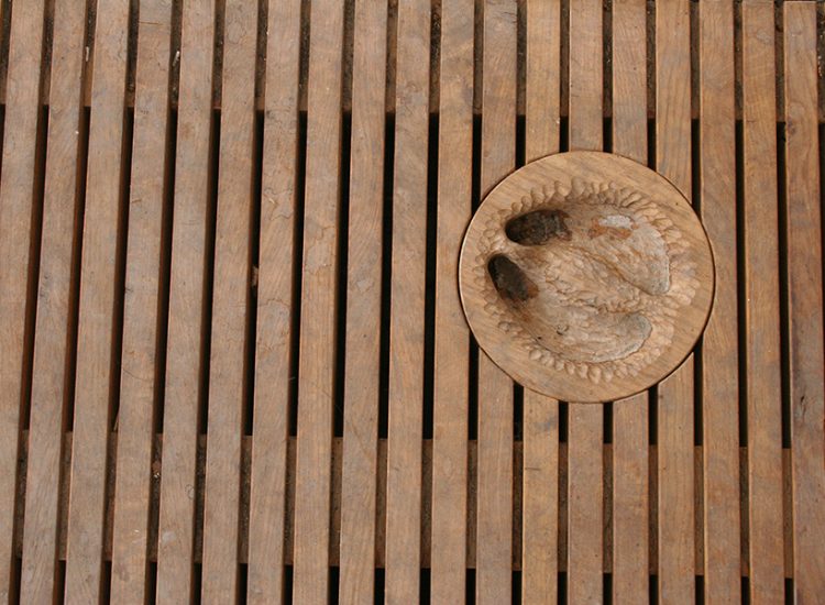Details_Carvings_4